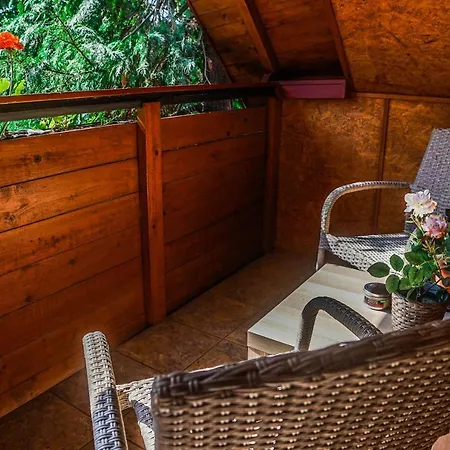 Anna Alloggio in famiglia *